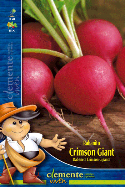 semilla de Rabanito Crimson Giant