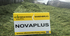 novaplus